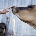 爱看剧官方网址:畅享最新剧集与精彩内容的最佳平台 0s0ih4