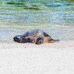 爱看影视app2024下载电视剧:畅享最新热门剧集,随时随地尽情观看! mxoz8mi