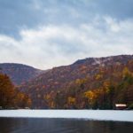 深入探讨Metacafe价格变化及其影响因素 x7hos1