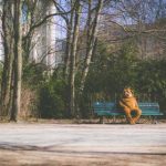 看片神器下载:畅享高清影视,轻松获取最新资源! 5if1v1j1