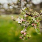 真不卡网站:热播电视剧《星汉灿烂》精彩解析与推荐 g9dy0huat