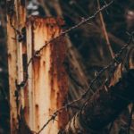 研究所好好学习,天天向上,开启成功之路 k68wa