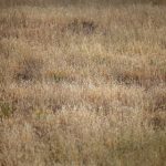 真不卡影视官方公告:全新功能上线与用户体验提升 u2xczn