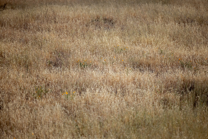 真不卡影视官方公告：全新功能上线与用户体验提升