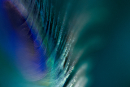 真木千秋：探索她在影视界的辉煌成就与个人魅力