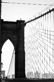 真不卡影院免费观看：畅享高清影视，无需会员轻松观看