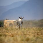 真牛辅助论坛:分享游戏攻略与辅助工具的最佳平台 w1mc0lvch