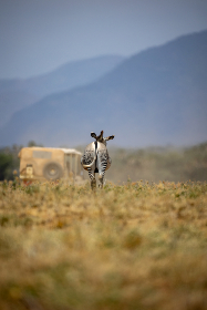 真牛辅助论坛：分享游戏攻略与辅助工具的最佳平台