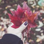 研究所簡章:探索前沿科技与创新研究的全面指南 zjbo26